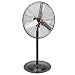 OEMTOOLS 24873 30 Inch Pedestal Fan