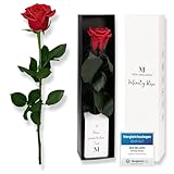 Mia Milano Infinity Rose rot am Stiel (5 Jahre haltbar) in Geschenkbox | Deko Geschenk für Sie | Eine konservierte Blume mit Rosenduft | Inkl. Geschenkkarte