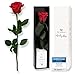 Produktbild Mia Milano Infinity Rose rot am Stiel (5 Jahre haltbar) in Geschenkbox | Deko Geschenk für Sie | Eine konservierte Blume mit Rosenduft | Inkl. Geschenkkarte