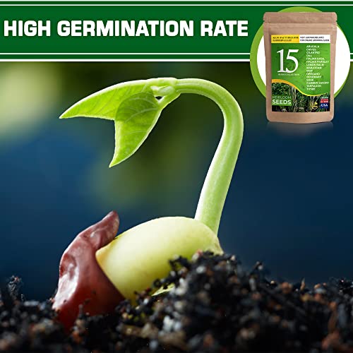 15 Culinary Medicinal Herb Seeds Pack For Planting Indoors And Outdoors - 100% Heirloom, Usa Grown, Non Gmo - Good For Hydroponic Garden - Arugula, Chives, Cilantro, Italian Basil, Parsley, And More #TOP4