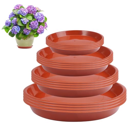 Ampiamente Utilizzato: Plastica Sottovasi Piante è molto adatto per piante grasse, cactus, piante erbacee e altri fiori. I Sottovasi Plastica Rotondi sono adatti per davanzali, corridoi, scrivanie di uffici, giardini interni ed esterni e decorazioni per eventi.