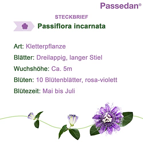 Passedan Tropfen 30 ml - bei nervöser Unruhe und Einschlafstörungen - Tag und Nacht anwendbar - pflanzliches Arzneimittel mit Passionsblumenkraut für innere Ruhe und leichteres Einschlafen