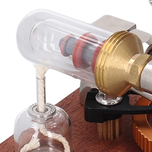 Moteur Stirling à air chaud pour expérimentation scientifique et éducative - 5