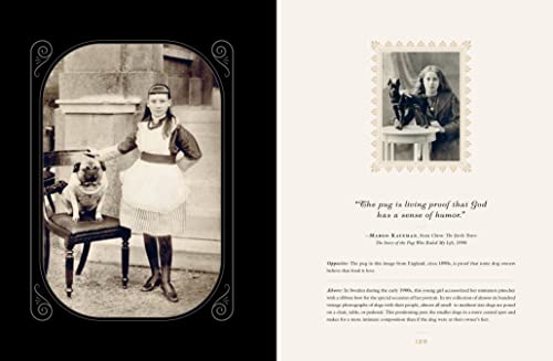 Love Immortal: Antique Photographs And Stories Of Dogs And Their People #TOP1