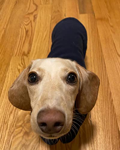 Image of Gooby Fleece Vest Dog Sweater, Navy, Small