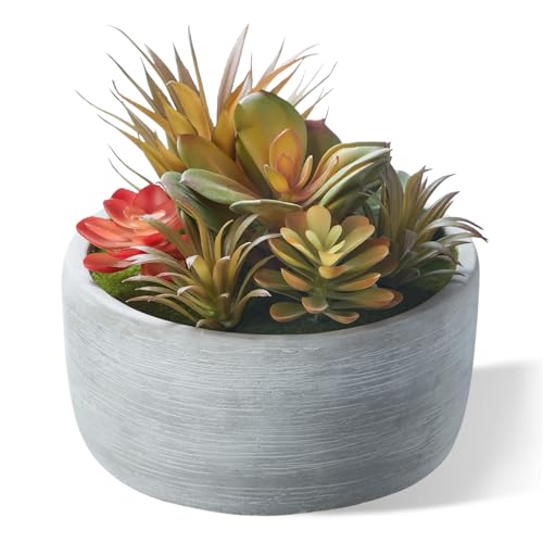 yel canby 6 Inch Artificial Succulent Plants in Pots,Realistic Fake