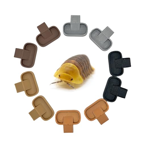 Isopod 10 Pack Feeding Dish | Isopod Food Tray | Insect Dish | Insect Feeder | CTWPets (Earth Natural Tones)