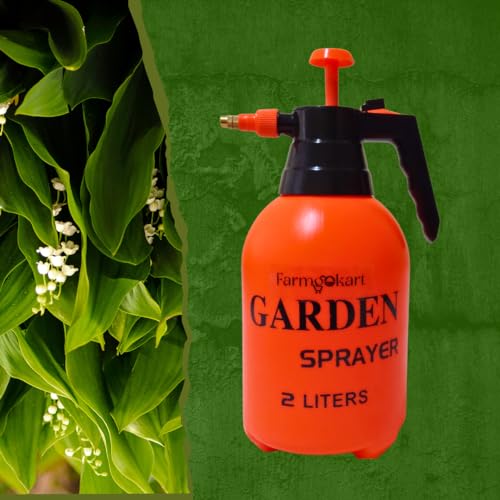 2 Liters Garden Pressure Spray Pump | Hand Held Sprayer Tank | Multipurpose Sprayer Used for Watering and Pesticide Spray | for Home Gardening 2 Liters Garden Pressure Spray Pump | Hand Held Sprayer Tank | Multipurpose Sprayer Used for Watering and Pesticide Spray | for Home Gardening