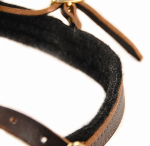 Dean & Tyler Cowboy Leather Dog Harness #TOP18