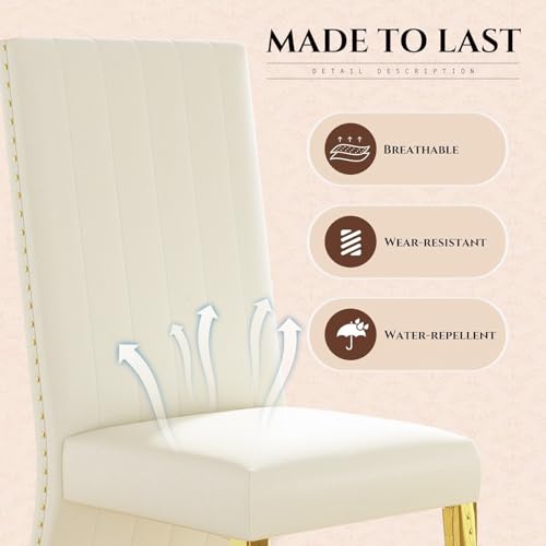 Luxury Upholstered Dining Bench