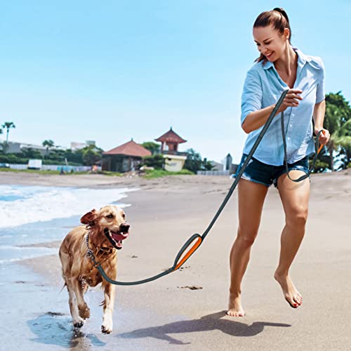 Image of Dog Leash for Small to Medium Dogs 6 ft with 3 Reflective Stitching and 2 Traffic Padded Handles Dog Lead /Rope, Pet Leash for Running Walking Training (Black 1 Pack - 6 ft x 0.6 in)
