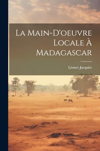 La Main-D'oeuvre Locale À Madagascar (French Edition)
