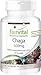 Produktbild Fairvital | Chaga 500mg - 90 Kapseln - 500mg Chaga Pilzpulver pro Kapsel - HOCHDOSIERT - Inonotus obliquus - VEGAN