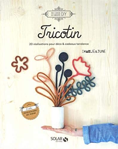 Tricotin: 20 réalisations pour déco et cadeaux tendance