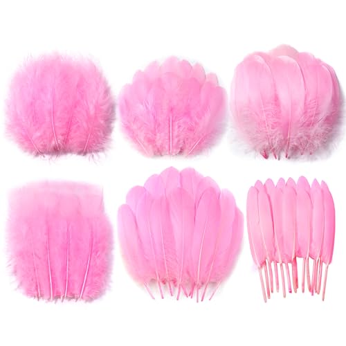 Larryhot Pink Craft Feathers Bulk - 240pcs 6 Style Natural