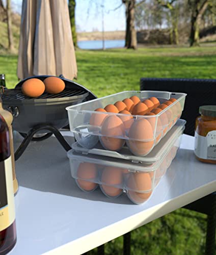 Clear Covered Egg Holder 3-Pack, Plastic Egg Storage For Refrigerator, Egg Tray Container With Lid, Fits 18 Eggs #TOP4