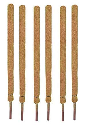 COIR GARDEN Coir Moss Stick - Coco Pole 4 Feet(120 CM) - 6 Pieces - Coir Moss Stick for Climbing Plants, Indoor & Outdoor Plants, Housing Plants Support Stick (B07BMGRPS4) Amazon Price History, Amazon Price Tracker