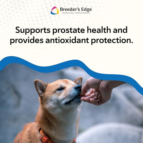 Image of Breeder's Edge in Between for Him Multivitamin Soft Chews, Med /Lg Dog 360ct