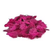 600 Piume Decorative Naturali Rosse MWOOT - 8-12cm Per Artigianato E Costumi - Foto 4