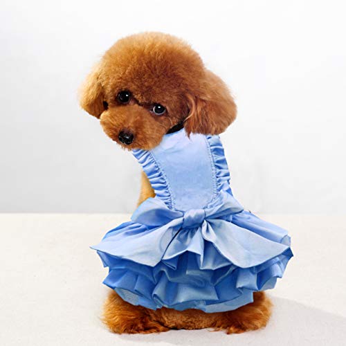 Puppy Face Dog Dress for Small Dogs Puppy Clothes Girl Dog Princess Skirt Outfits Cat Lace Apparel (Small, Sky Blue) - Image 6