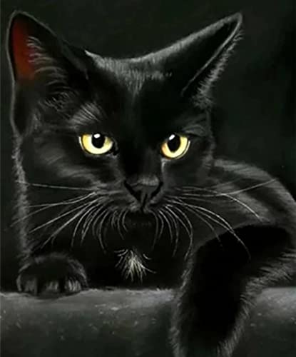 Peinture au diamant 5D chaton noir, kit point de croix mosaïque strass cristal 30x40 cm