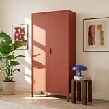 Sicaan Armadio industriale in metallo, altezza 170 cm, 2 ante, 4 ripiani, 2 appendiabiti, colore terracotta THEA