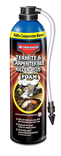 BioAdvanced Foam Insect Killer