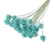 flores secas para tirar en bodas Colóquelo en un lugar seco, no lo ponga en un lugar húmedo, las flores secas deben ser transpirables.