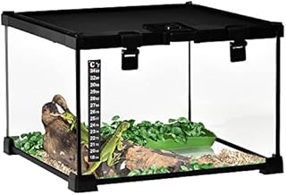 PawHut Glass Reptile Terrarium Insect Breeding Tank Vivarium Habitats with Thermometer for Lizards, Horned Frogs, Snakes, Spiders - Small 30 x 30 x 20cm