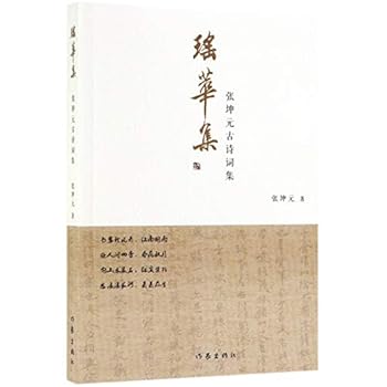 Paperback ???(???????) [Chinese] Book