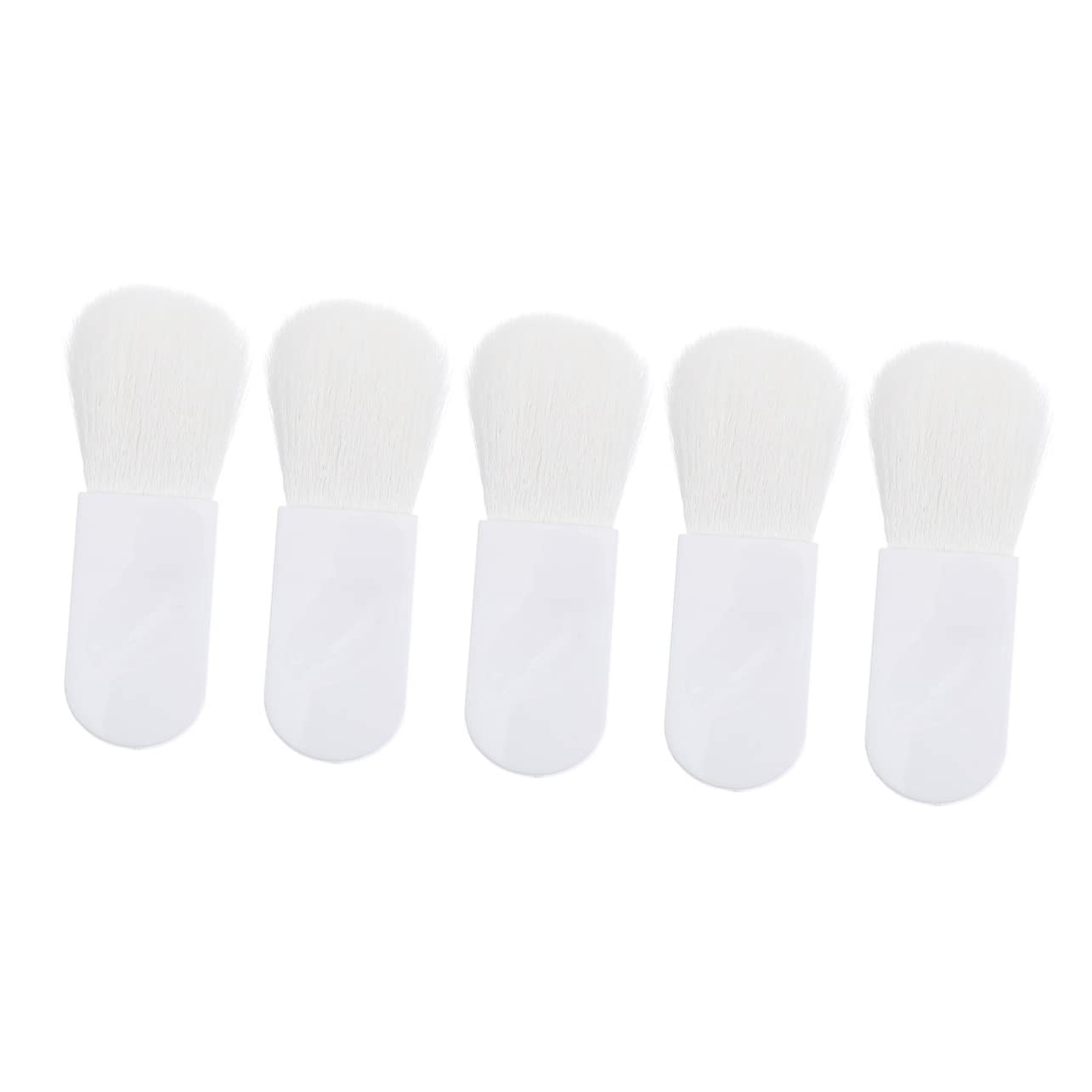 VICASKY 5pcs Multi-purpose Mini Blush Brush Mini Makeup Brush Set Portable Soft Easy to Clean for Travel