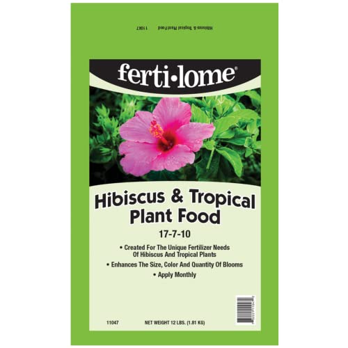 Best Fertilizers For Hibiscus Of 2023 The Complete Guide Www