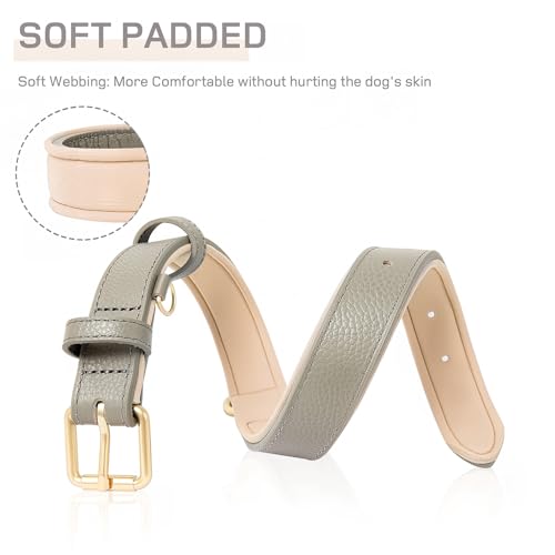 HEELE Hundehalsband Leder Hundehalsband mit gepolstert und echtes Leder, Verstellbar, Halsband für Welpen Kleine Mittel Große Hunde, Neu-Grau, S
