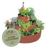 UNUS Kräuterschnecke aus Cortenstahl Ø 30 60 90 cm – Kräuterspirale Kräuterpyramide in Rostoptik für Garten und Terrasse