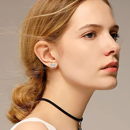 White Gold Plated Round Square Heart Cubic Zirconia Simulated Diamond Halo Stud Earrings Globosenpur Big Silver Stud Earrings For Women Men Girls #TOP2