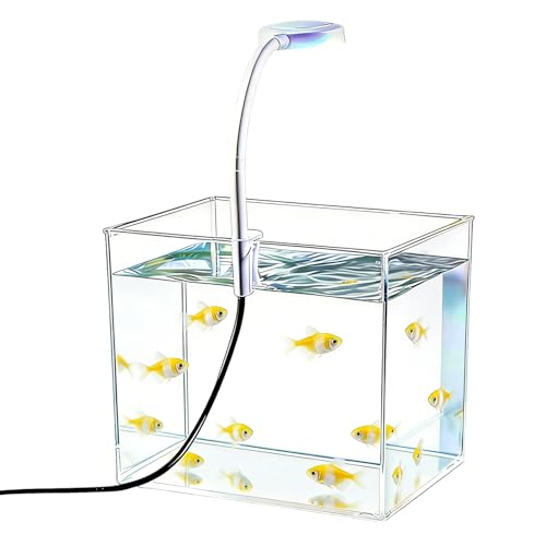 Petit aquarium - avec éclairage à pince et base antidérapante transparente,Aquarium décoratif pour combattant sur bureau,Pour débutants famille maison...