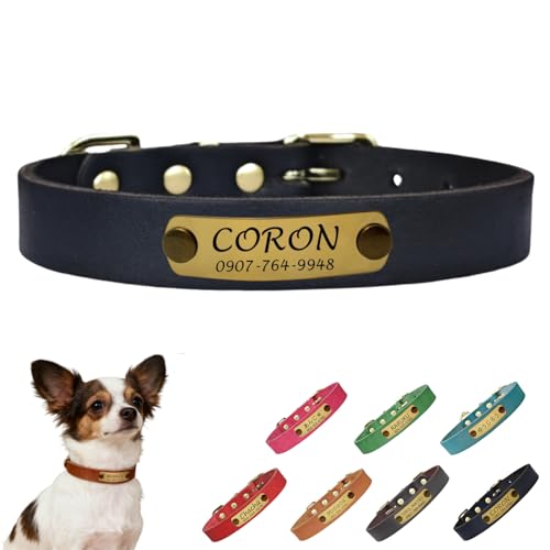  {v qD Lp   v~A I[_[Ch dグ ybĝOAAdb  ID^O ^ ^ ^ TCY\ y t@bV