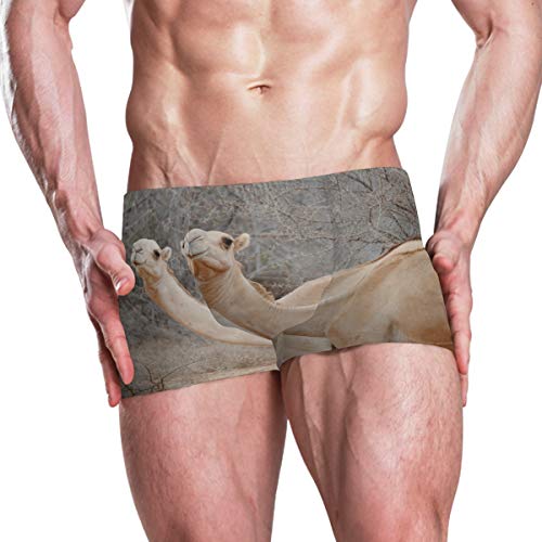 MONTOJ Dumb African Camel - Bañador para hombre 1 L