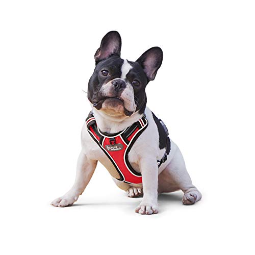 y{K㗝XizTUFF HOUND  n[lX \tgbV ʋC h~ Ȃ Ԕ y Pݖh~ ^ ^ ^  ߉\ s⏕ Up(S, bh)