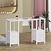 Manicure Table for Nail Tech, Nail Tech Table Station w/4 Storage Drawers & 2 Open Shelves, Nail Table w/Dust Collector for Beauty Salon Tech Station (White)