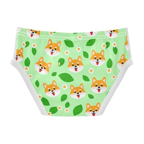 Cute Dog Flowers Floral Green Toddler Boy's Underwear 2T 23018862