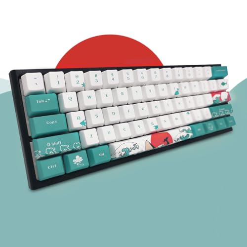 Image of SDYZ Custom Keycaps 60 Percent - 71 Key Set OEM Profile PBT for GK61 /GK64 /RK61 /Anne /GH60 /ALT61 Mechanical Keyboards (Coral Sea)