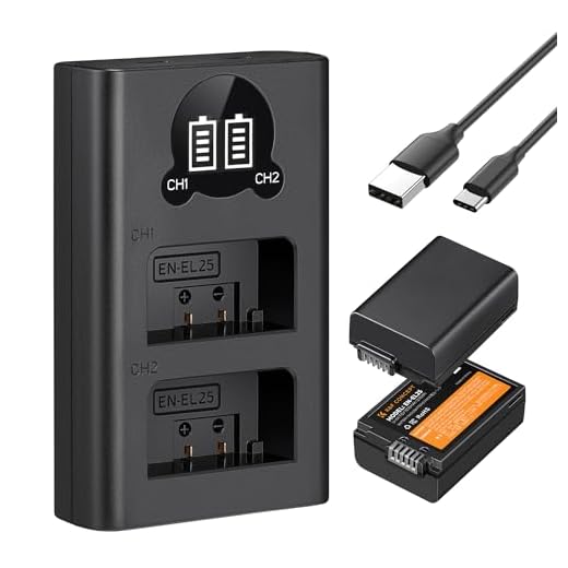 K&F Concept Dual Charger and Battery Set