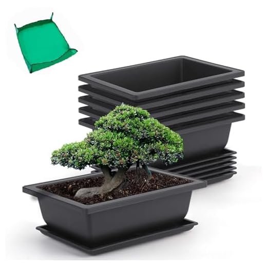 GROWNEER 6 Packs 9 Inches Bonsai Training Pots with 15 Pcs Plant Labels, Plastic Bonsai Plants Growing Pot for Garden, Yard, Office, Living Room, Balcony and More