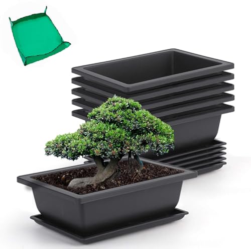 GROWNEER 6 Pack Bonsai Training Pots