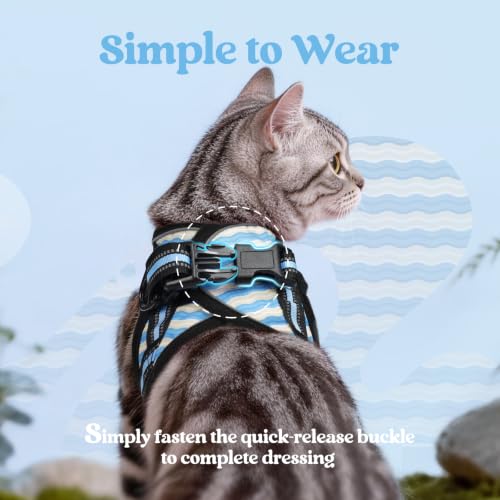 Image of rabbitgoo Cat Harness and Leash Set, Step-in Soft Vest, Blue Wave | Escape Proof, Lightweight, Easy-on & Adjustable, Hook & Loop with Buckle, Reflective, for Kittens & Small Cats Walks, M