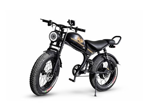 Image of MTNS.ev C93-I | Electric Cycle | 250W 48V BLDC Motor | 12Ah Lithium Battery | 40 km Range | 120 Kg Load | 20 inch Tyre | Black
