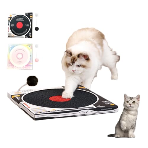 �L �܌��� �i�{�[�� �� �~�` �ǂɓ\�� �L�̒܂Ƃ� ���R�[�h�v���[���[ ���� �߂Ƃ� �L �i�{�[�� ������� �܌��� �L �܂Ƃ� �X�v�����O�X�C���O�{�[����������t�� ���S�y�� �Ƌ��\�t�@��ی� (A)