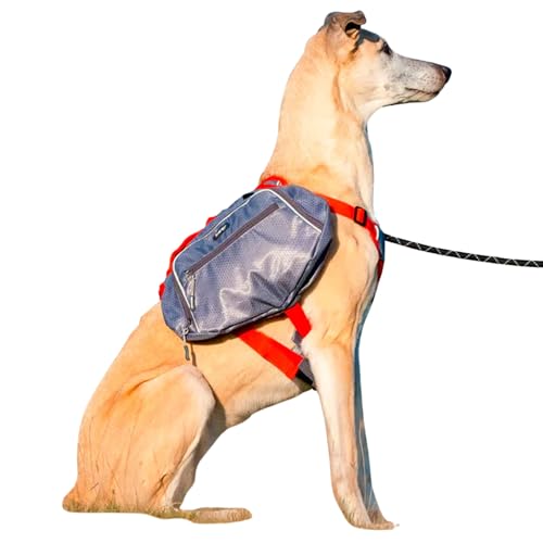 iEnergy™ MAE Hunderucksack - 2in1 Geschirr und Abnehmbarer Rucksack für Hunde - Wetterfest und inklusive Zwei Trinkflaschen mit Thermotaschen (Mittel)