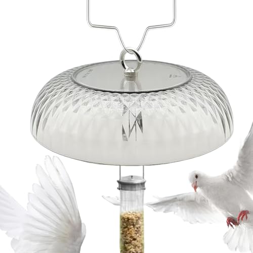 Evite comida mohosa usando el protector contra la lluvia para aves en estaciones 2